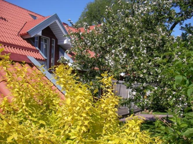 Apartamentai Obelyne Palanga Exterior foto