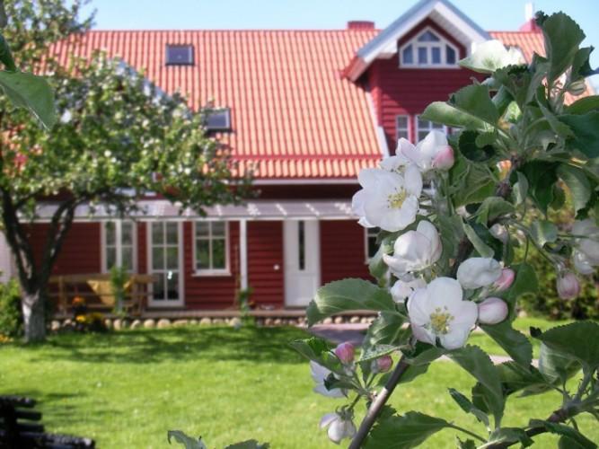 Apartamentai Obelyne Palanga Exterior foto